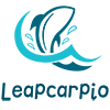 Hangzhou Leapcarpio Nukɔn kpodo Tomɛyiyi Co. kpo, Ltd